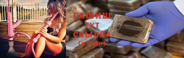 сатива Беломорск