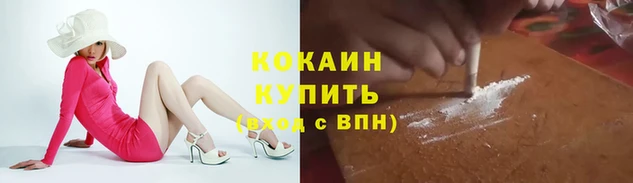 сатива Беломорск