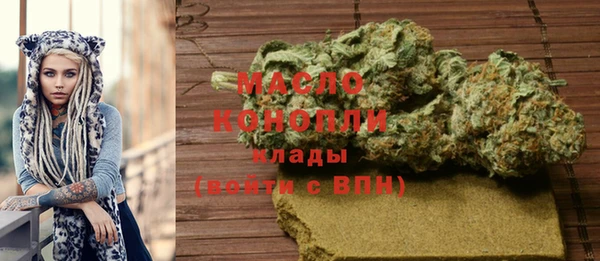 сатива Беломорск