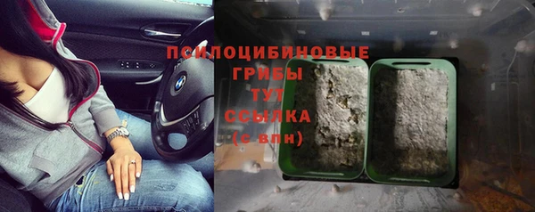 MDMA Белокуриха
